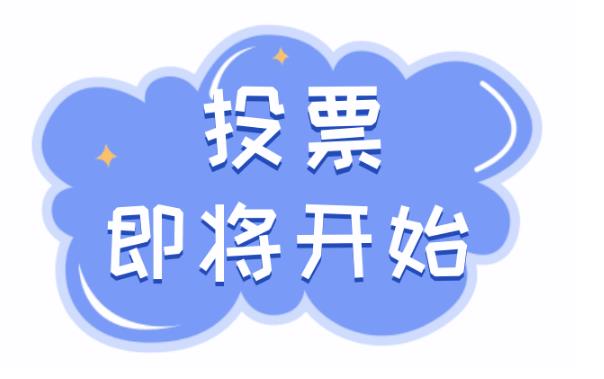 纯人工刷票人工投票怎么收费