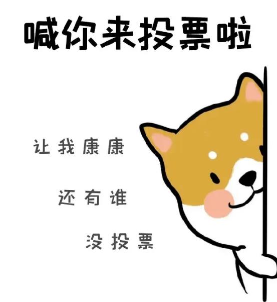帮投票的网站-真人投票多少钱一票-人工投票团队怎么联系